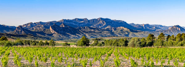 Herència Altés: elaborando vinos catalanes sostenibles