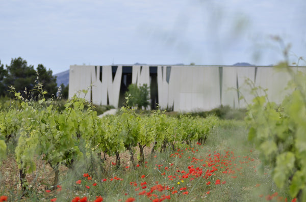 La bodega Herència Altés pionera en el cálculo y el compromiso de reducir la huella de carbono