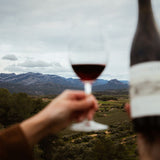 Experiencia Territorio
