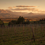 Experiencia Territorio