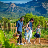 Picnic in the vineyards