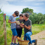 Picnic in the vineyards