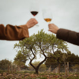 Visita Amantes del Vino