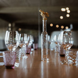 Visita Amantes del Vino