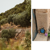 Land Art en família a la Terra Alta: L'activitat de les portes màgiques