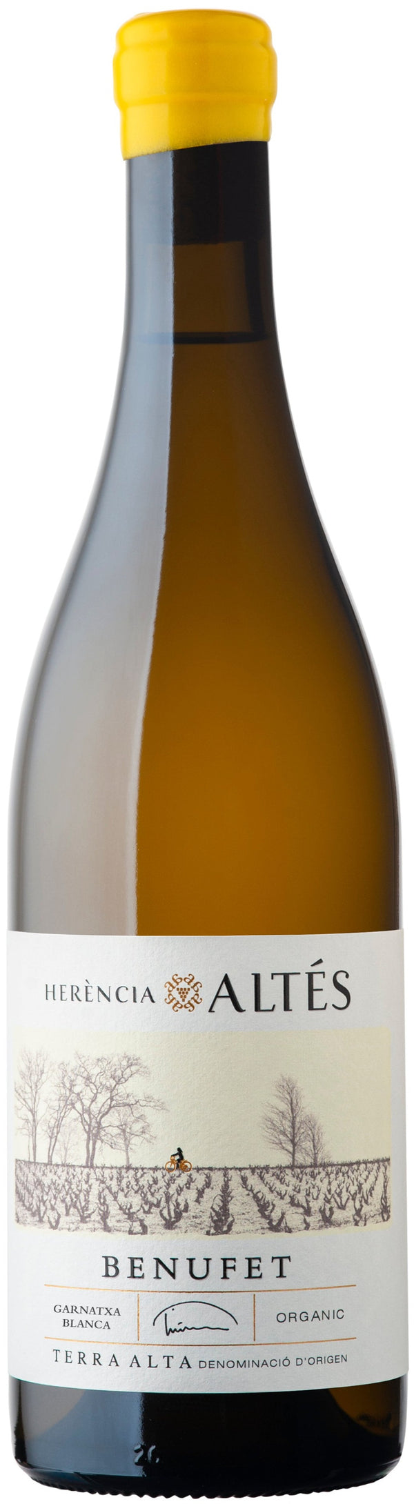 BENUFET 2024
