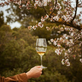 Territory Experience