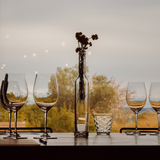 Territory Experience