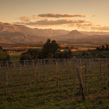 Territory Experience